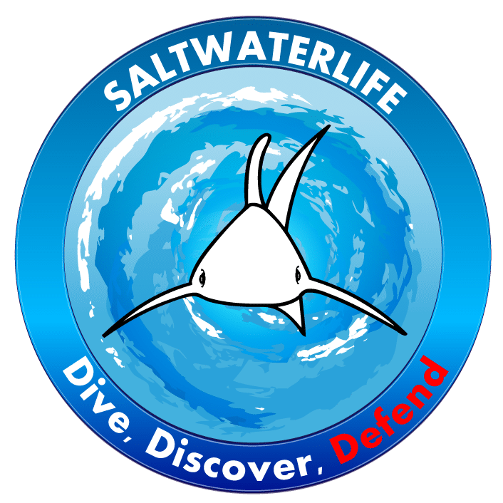 Saltwater Life Logo Design