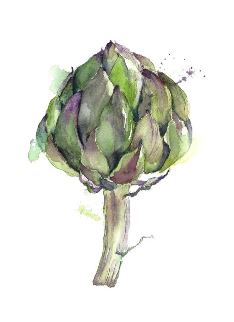 Gourmet Feast artichoke