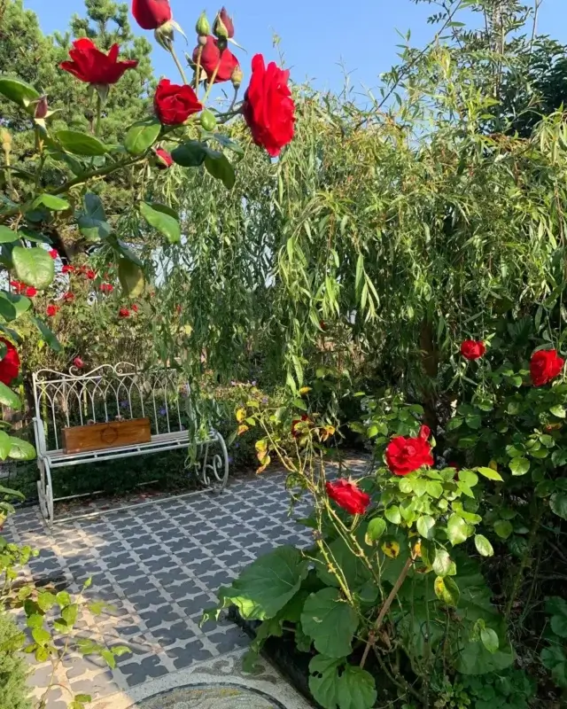 Making a Garden